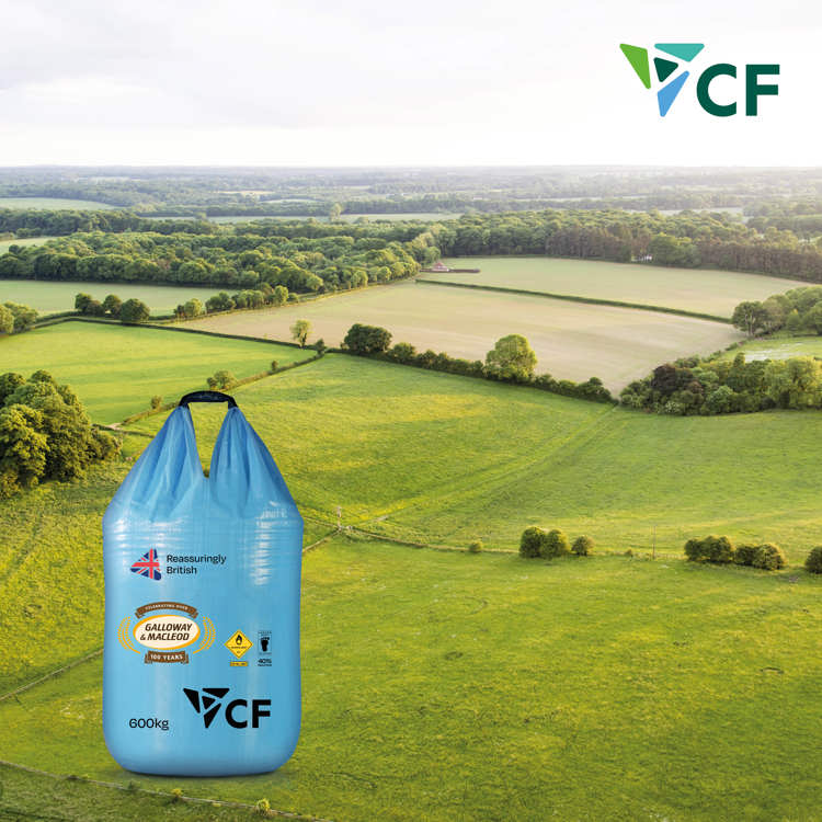 brand graphic for g&m and cf blue bag with field in background