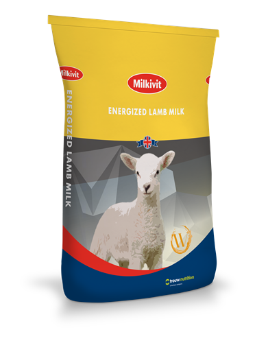 Milkivit Energizer Lamb Whey Free Flow - Galloway & MacLeod