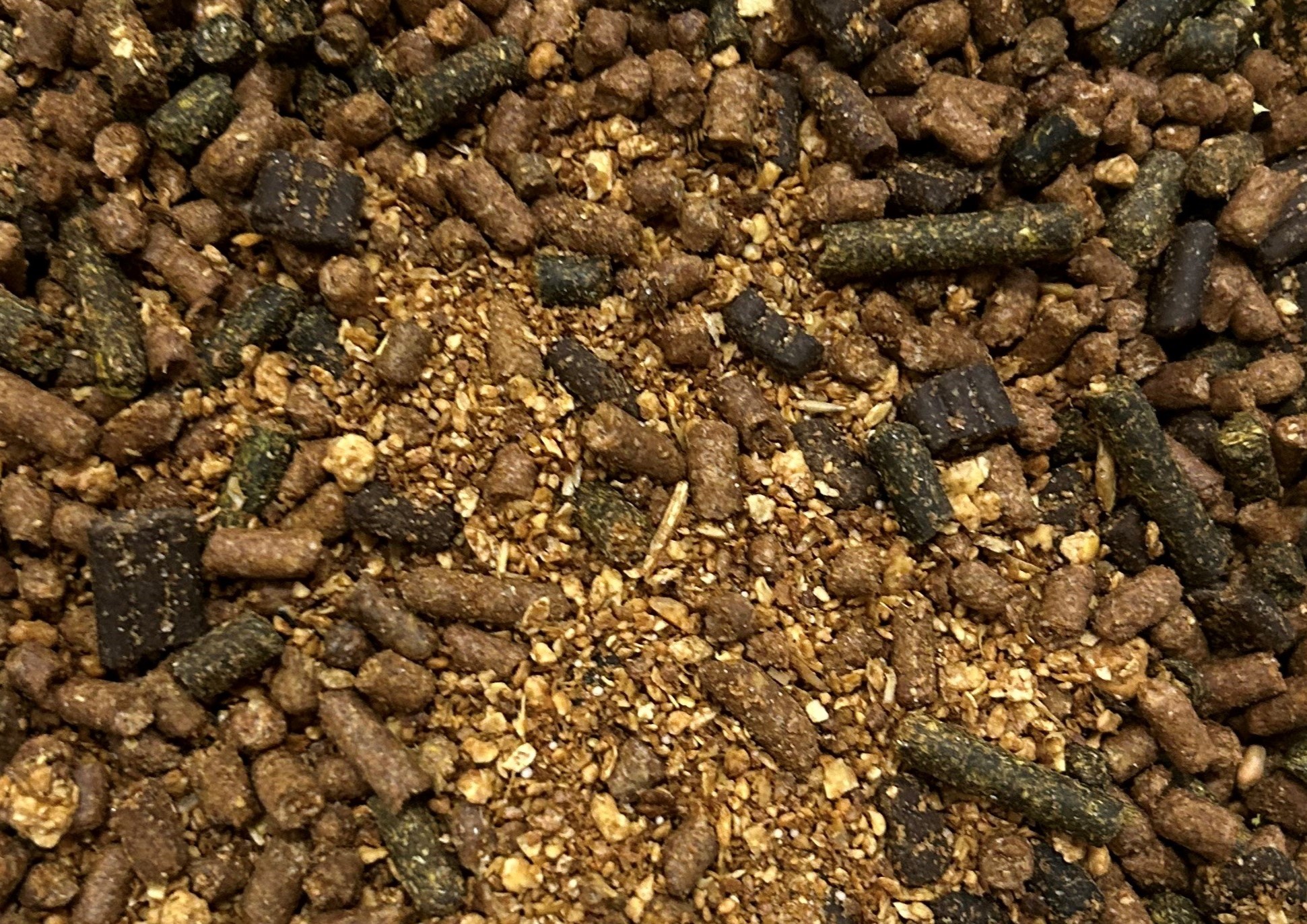 Total Balancer Horse Feed Balancer Galloway & MacLeod