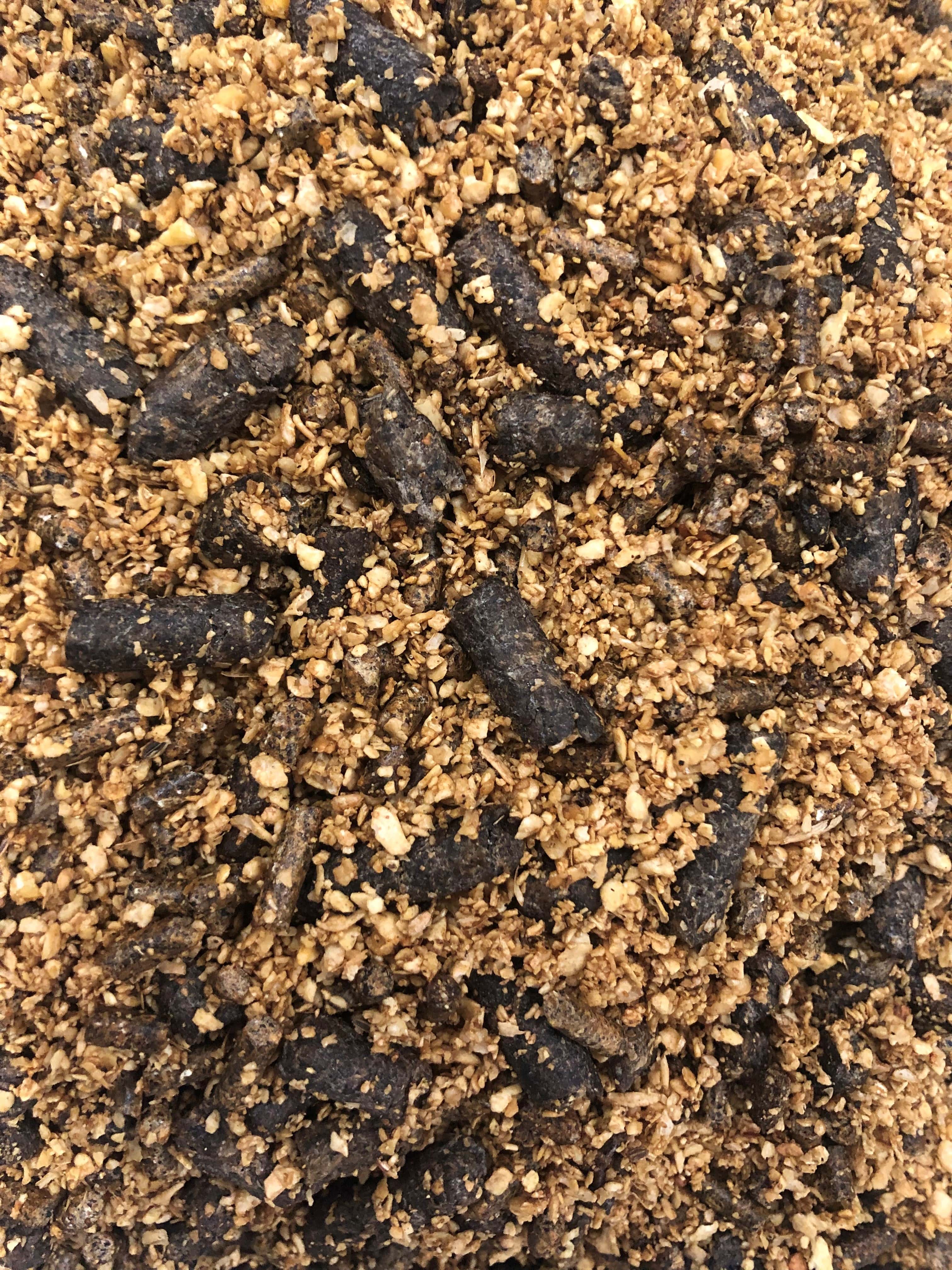 TMR Beef 30 Galloway & MacLeod