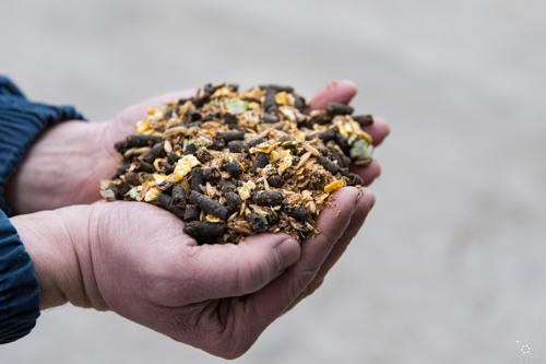 man holding gallway and macleod omega flush mix in two hands